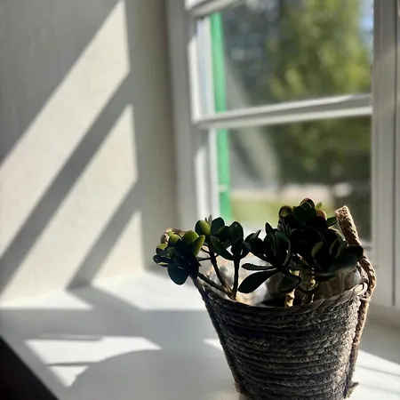 Apartamento 'heimelig' Auszeit Und Erholung, Familie Und Pferdehof, 409 *