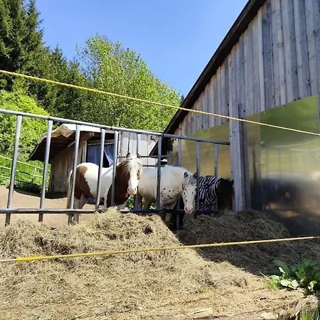 'heimelig' Auszeit Und Erholung, Familie Und Pferdehof, 409 Apartamento *